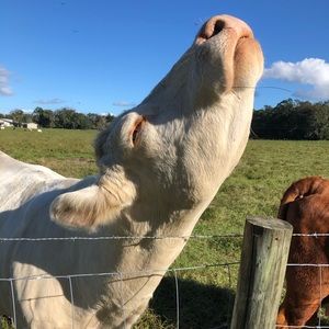 Meet your Posher, China